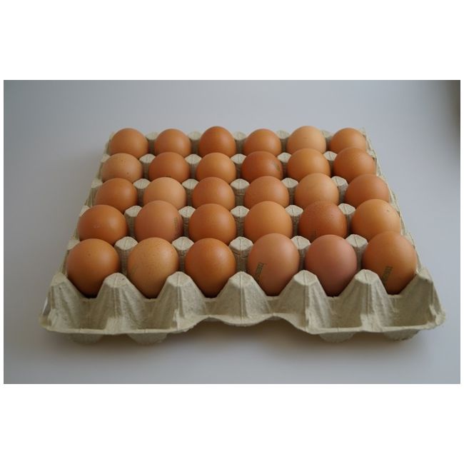 Eier - 30er Pack Gr. M - Gï¿½teklasse A - DE052471